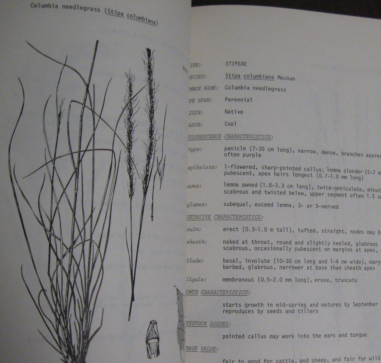 North American Range Plants by J. Stubbendieck Nebraska Press Jon Farrar Copy