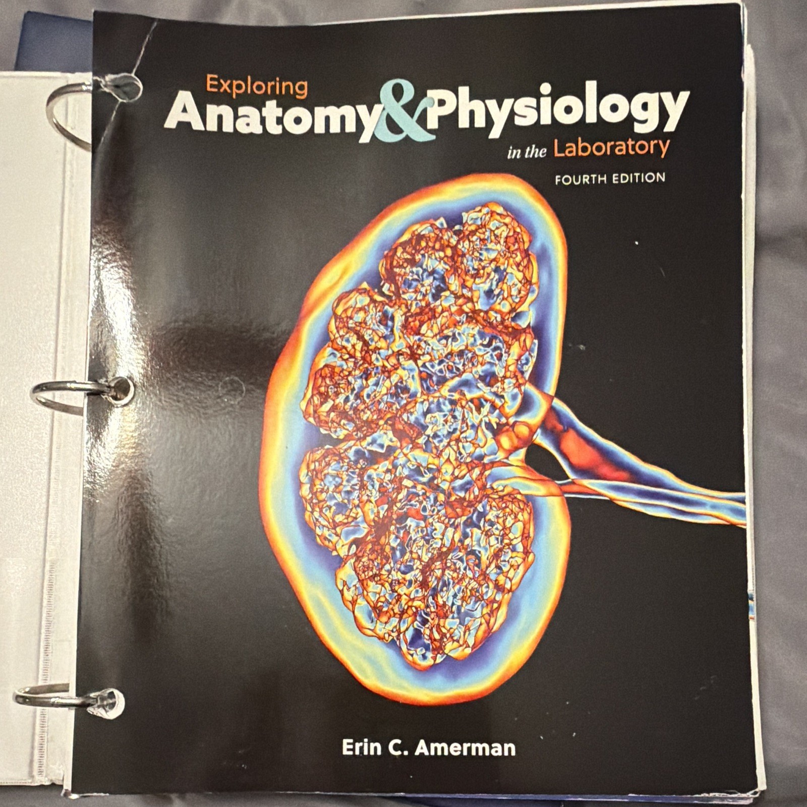 Amerman Exploring Anatomy & Physiology in the Laboratory 4th 2018 Ringbound
