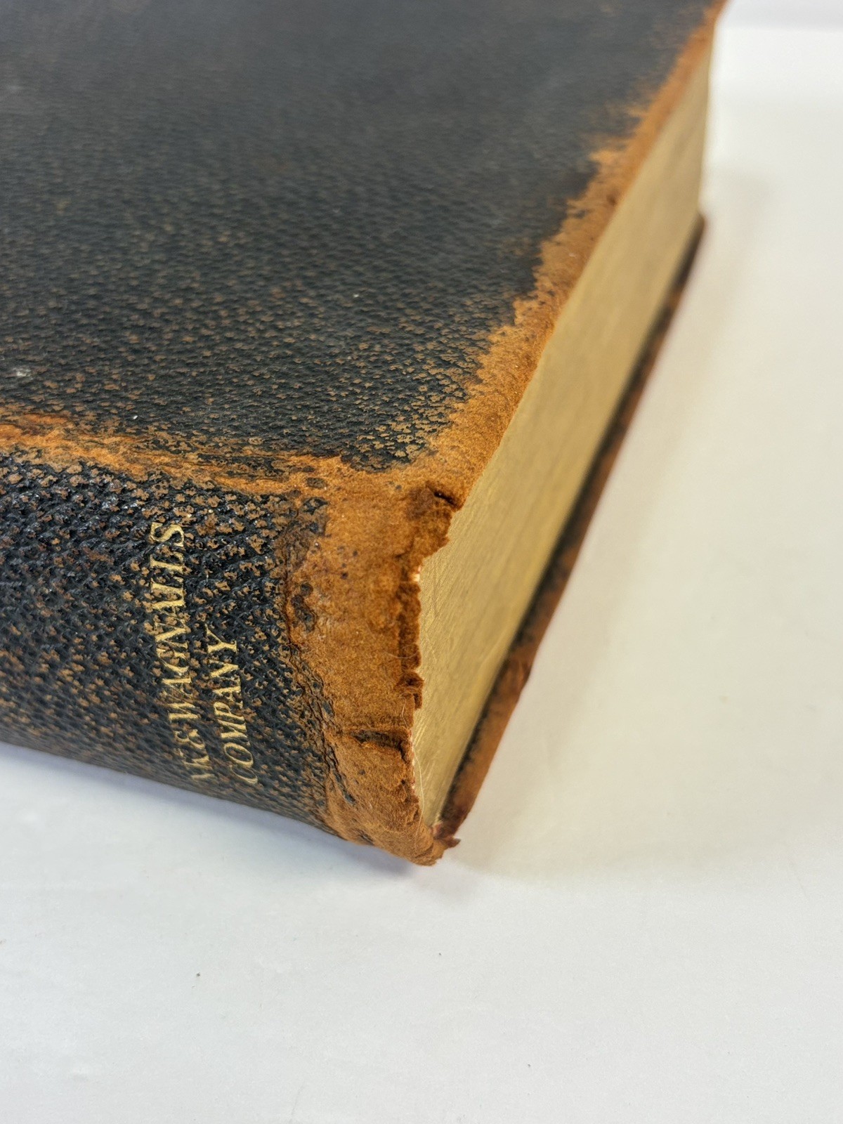 Funk & Wagnalls New Standard Dictionary English 1921 Leather Cover Gold Edges