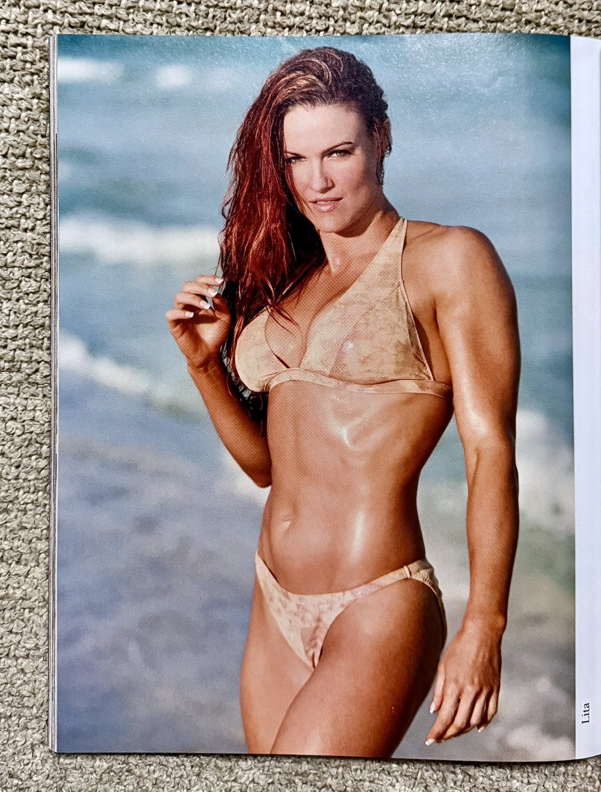 WWE DIVAS: (2004), 120 Pages of Beautiful DIVA Legends, TORRIE WILSON Cover, NM