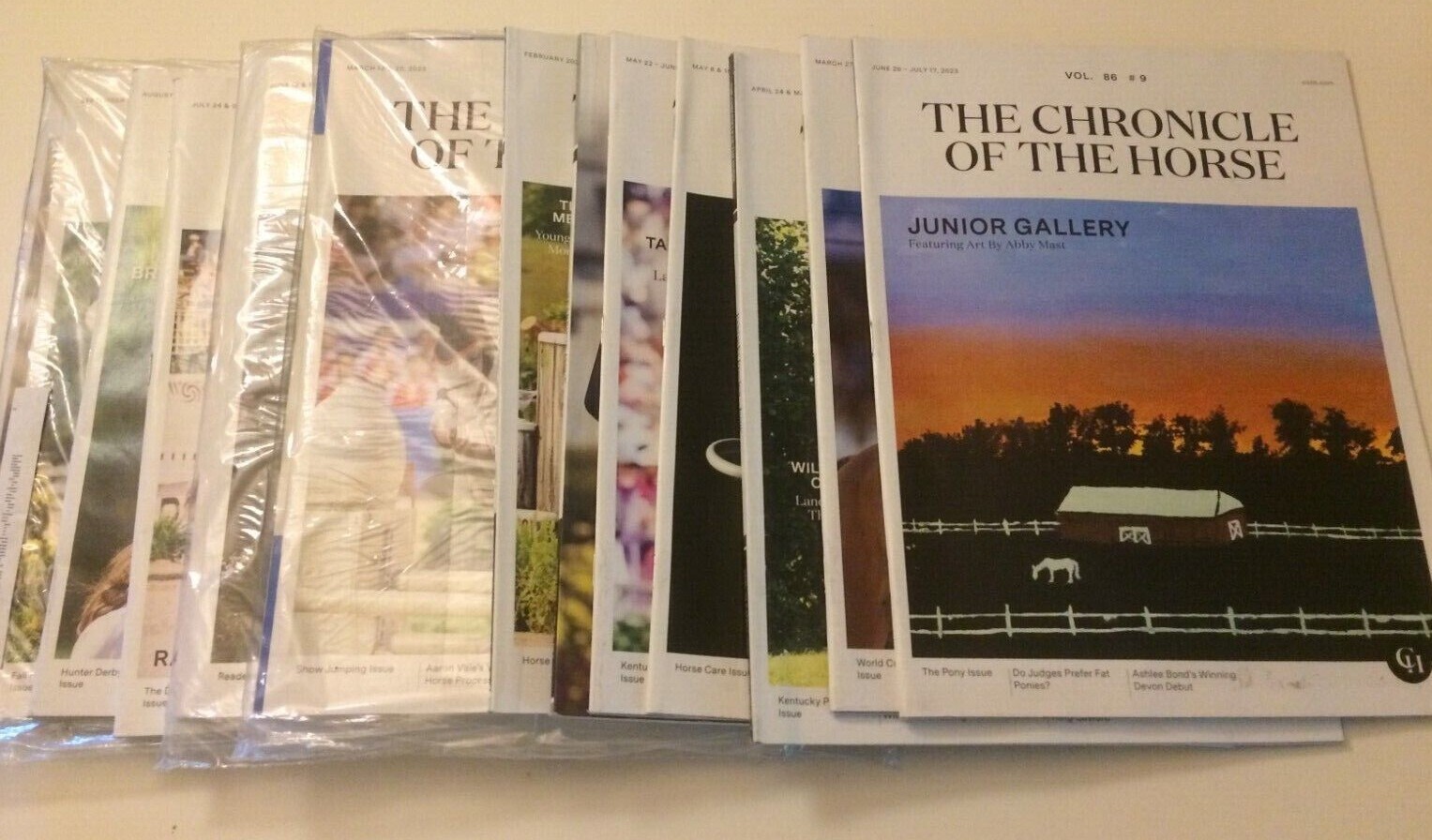 Chronicle of the Horse Magazine~NEW~$3 Each~June July/Aug Sept Oct/Nov 2024