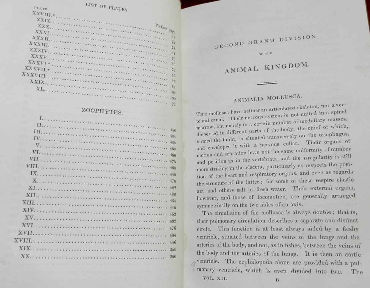 1834 Cuvier / Griffith Animal Kingdom MOLLUSCA & RADIATA 60 Wonderful Plates 1s
