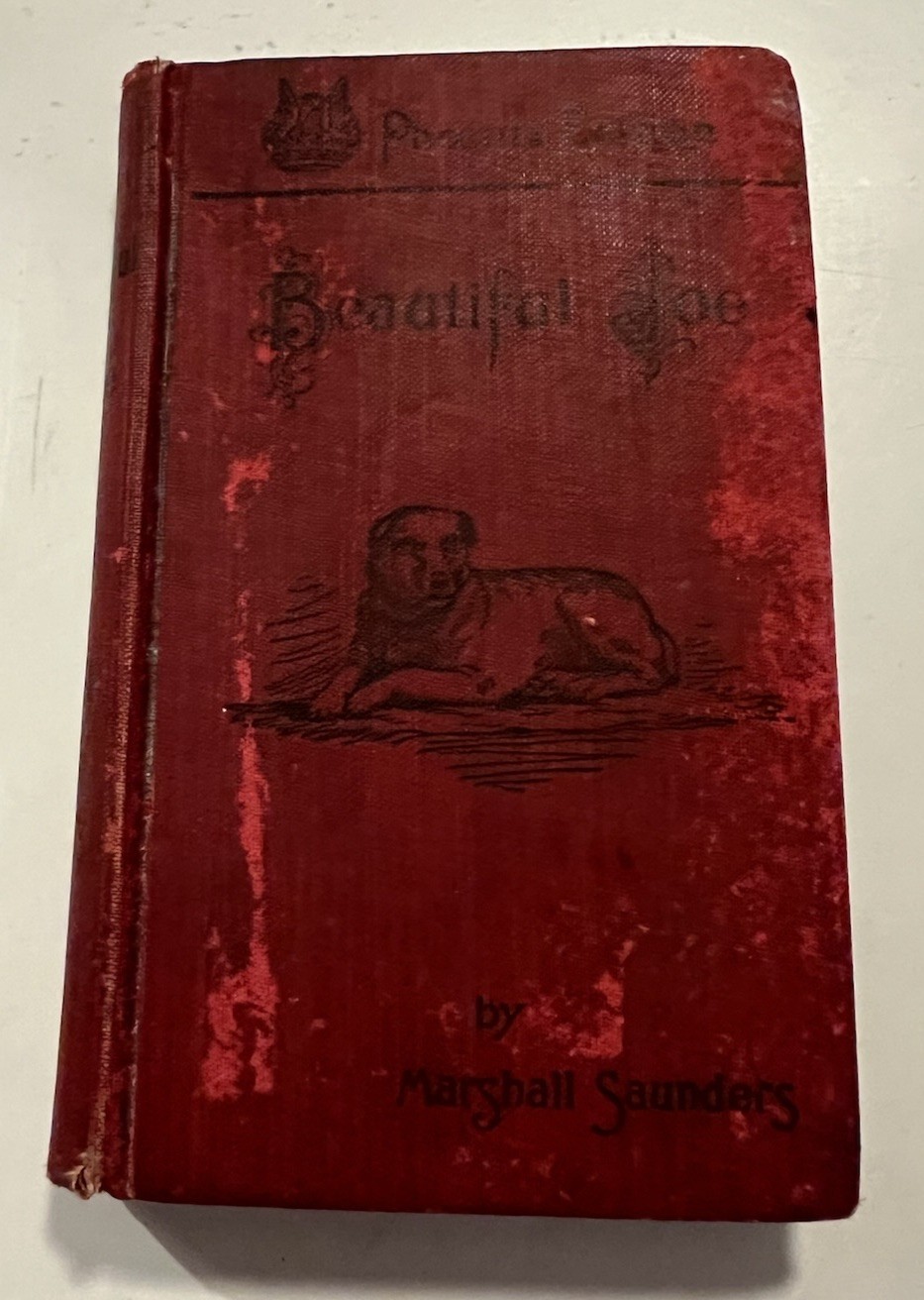 1902 Antique Book, Beautiful Joe, by Marshall Saunders, Phoenix Edition