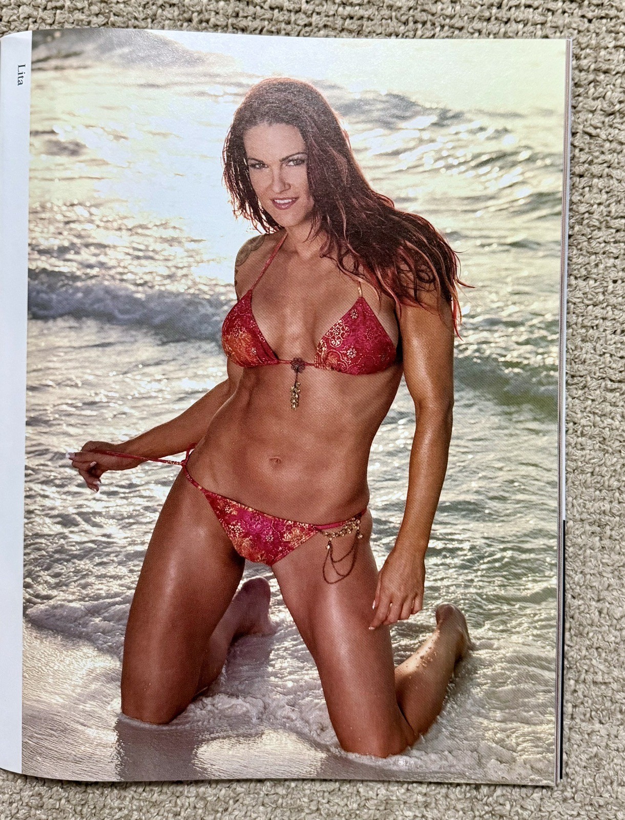 WWE DIVAS: (2004), 120 Pages of Beautiful DIVA Legends, TORRIE WILSON Cover, NM