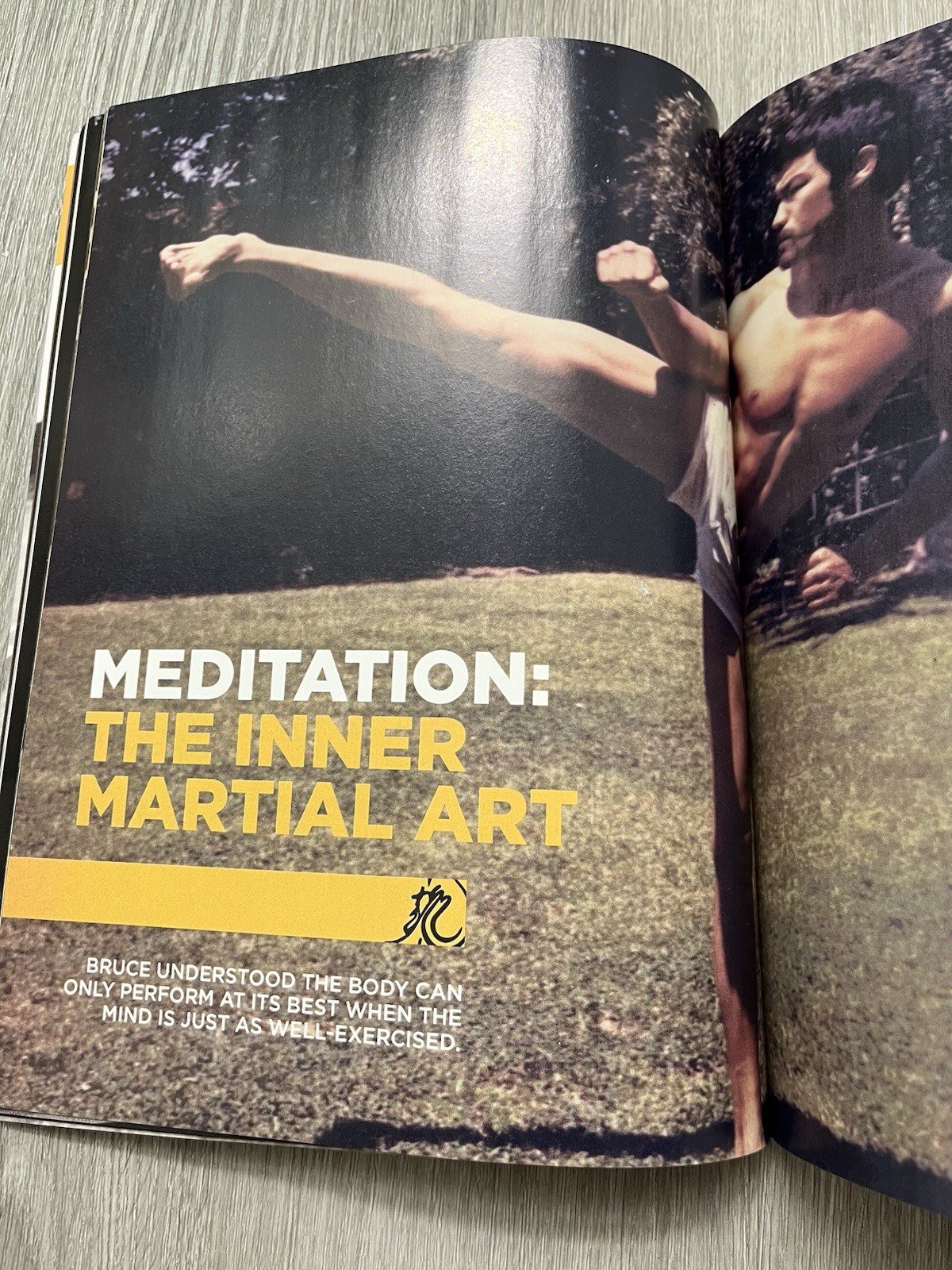 Bruce Lee Official Collectors Edition Enter the Dragon 2019 Vol 4 PB Topix Media