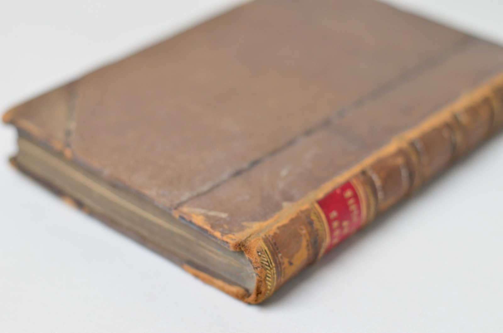 Antique Early Printing The Crown of Wild Olive by John Ruskin 1866
