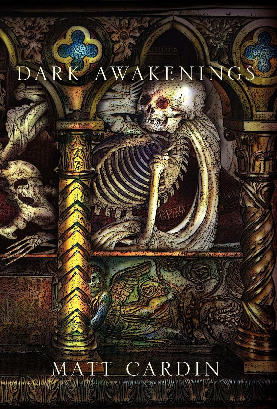 Dark Awakenings – hardcover Matt Cardin|DAVID WYNN|JASON VAN HOLLANDER
