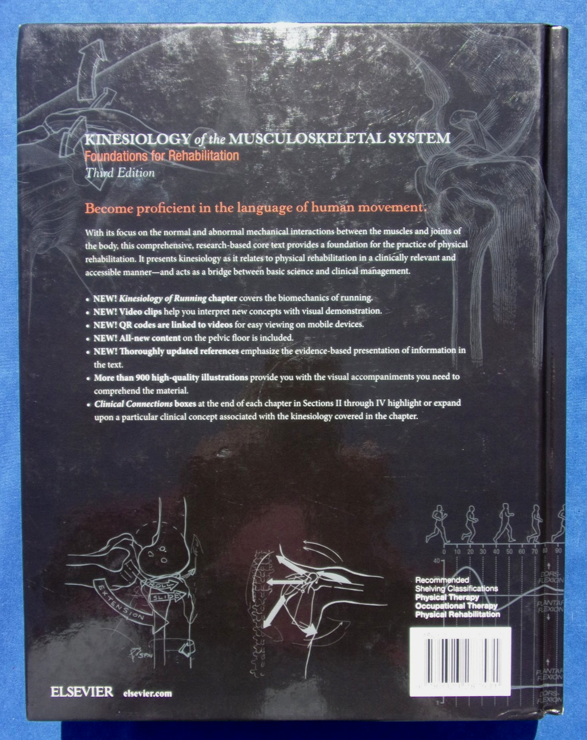 💀 Kinesiology of the Musculoskeletal System : Foundations for Rehabilitation 3e