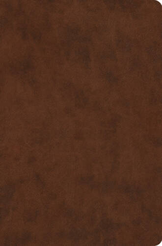 ESV Value Compact Bible (TruTone, Brown) – Imitation Leather – GOOD