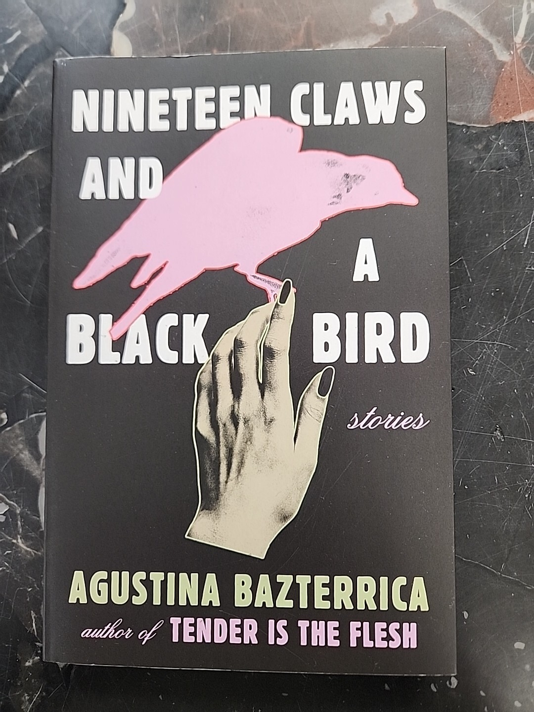 Nineteen Claws and a Black Bird by Agustina Bazterrica – NEW