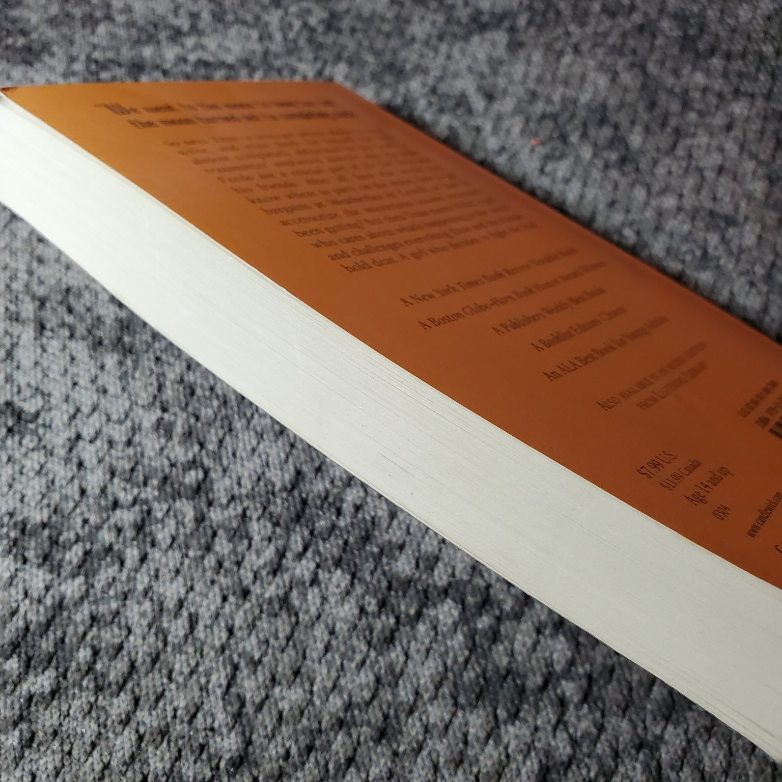Feed M. T. Anderson 2004 First Paperback Edition Dystopian YA Candlewick