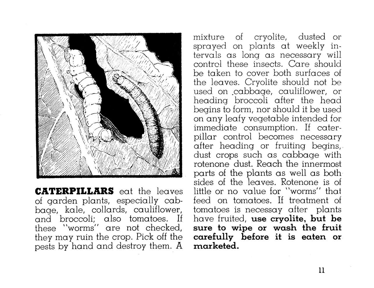 1944 Victory Garden Insect Guide