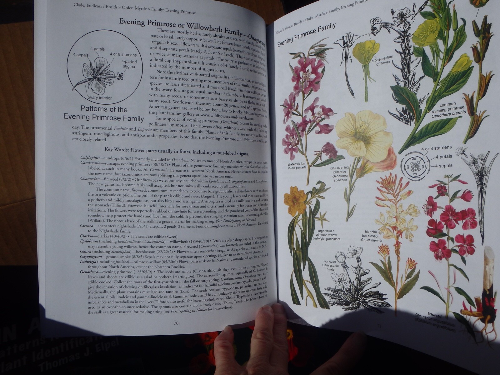 Botany in a Day: The Patterns Method of Plant Identification, 6.2, Publisher
