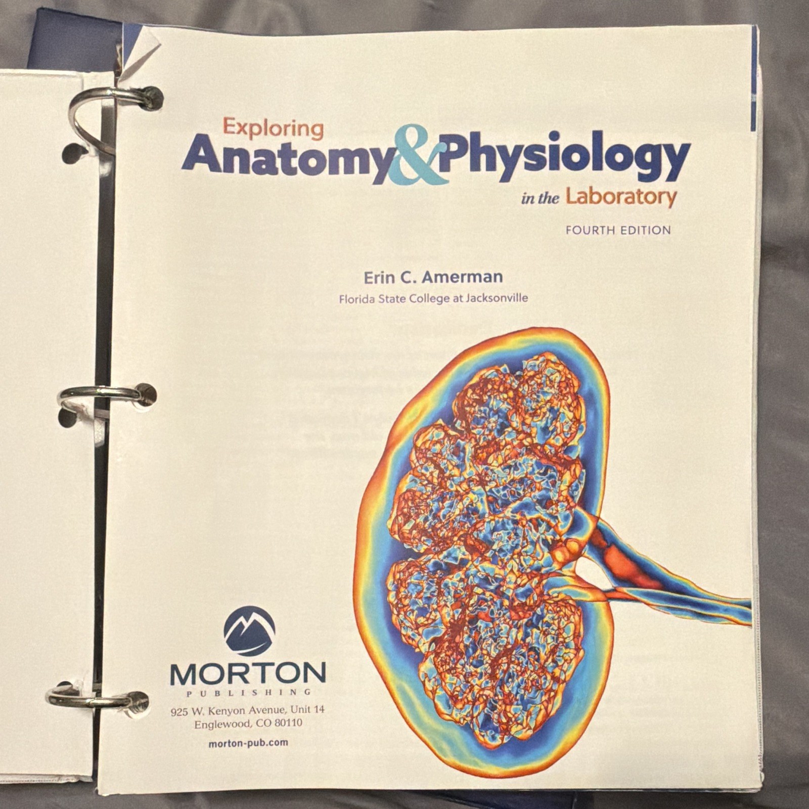 Amerman Exploring Anatomy & Physiology in the Laboratory 4th 2018 Ringbound