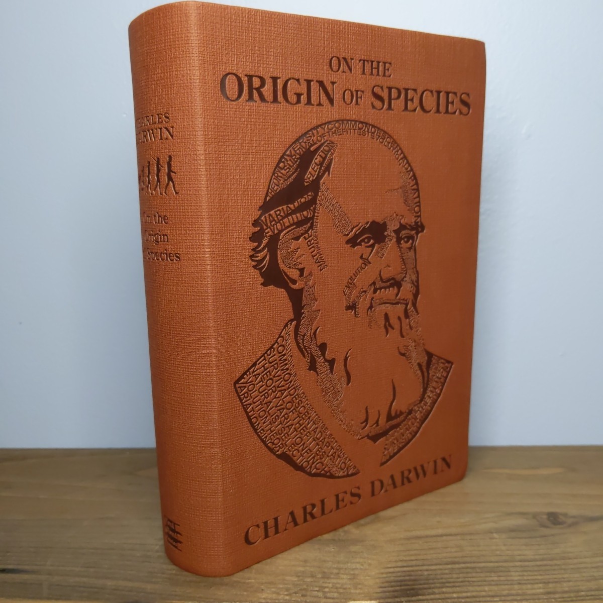 On the Origin of Species by Charles Darwin (Wordcloud Classics Softbound)