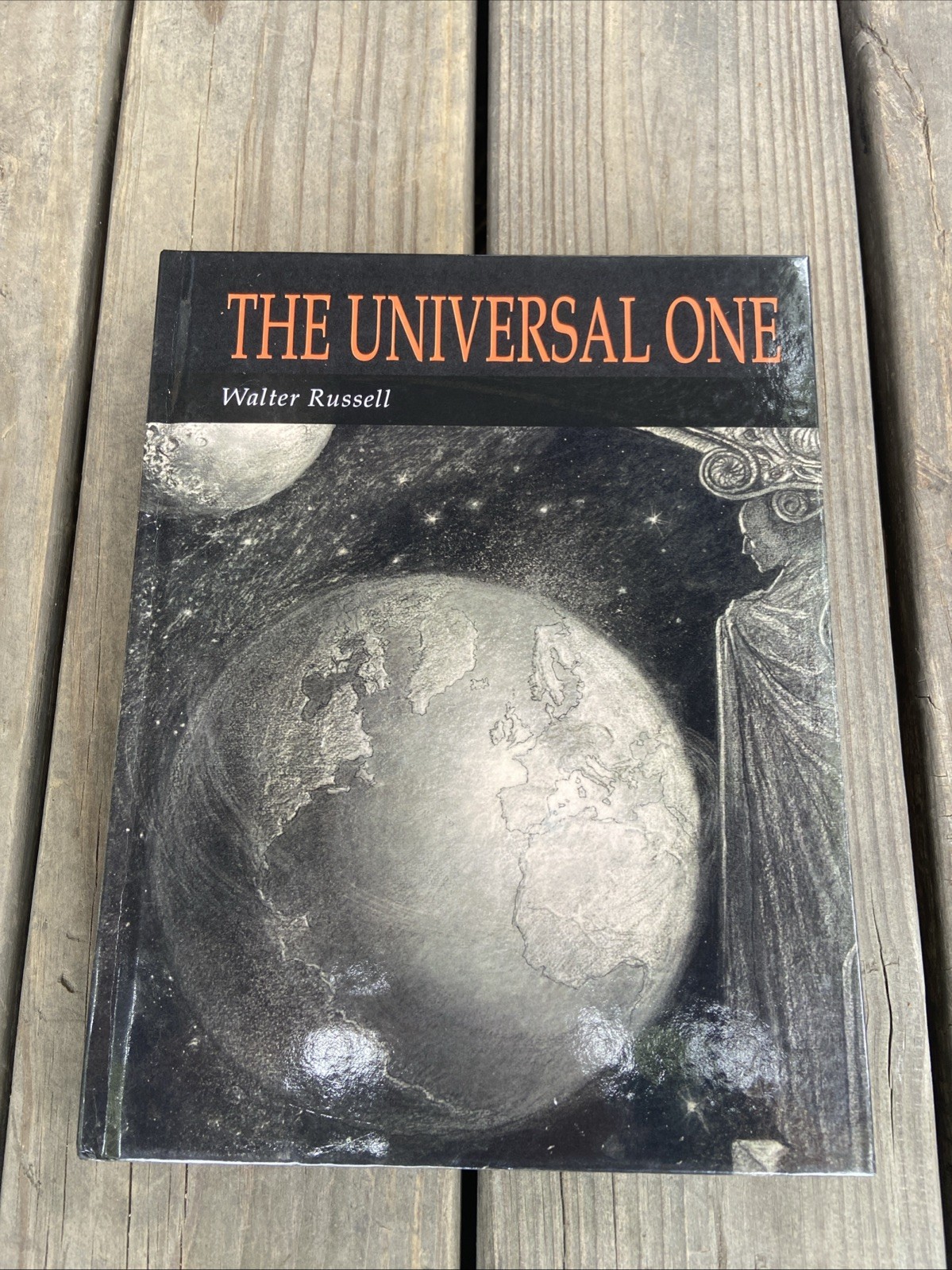 The Universal One (Hardback or Cased Book)