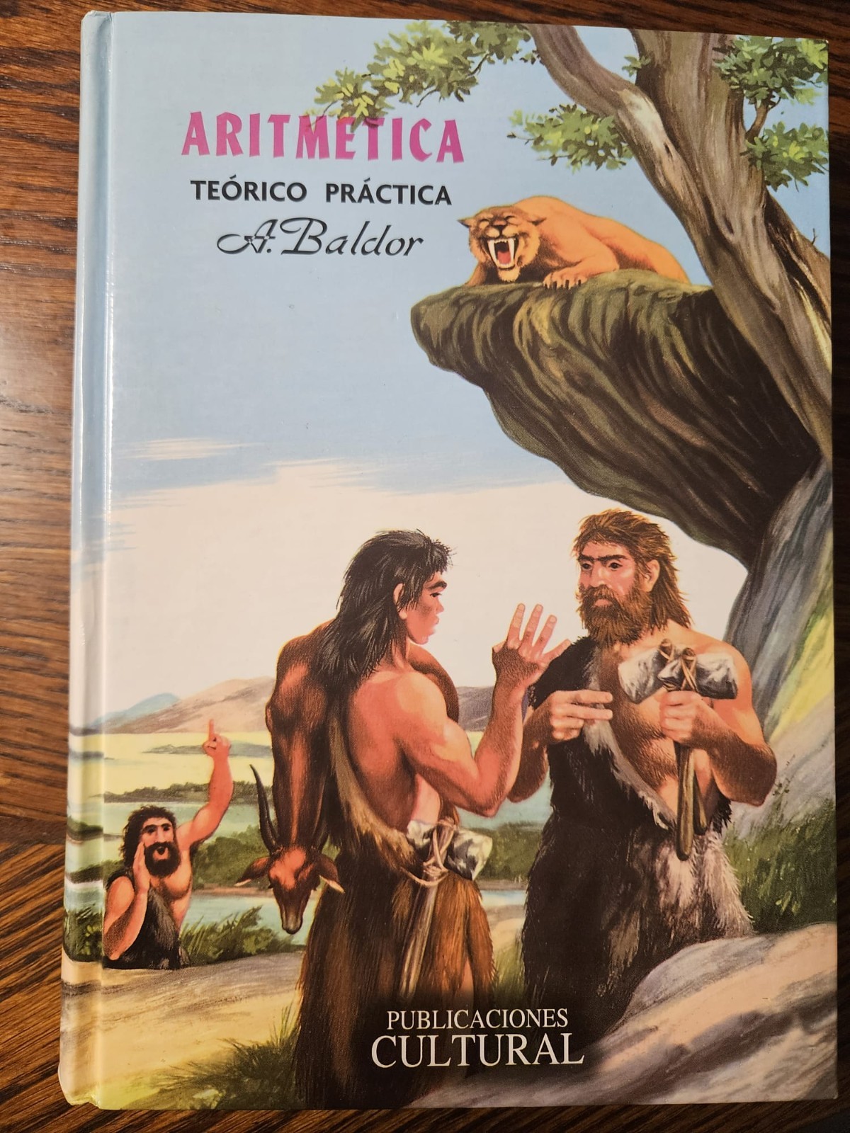 Aritmetica: Teorico, Practica (Spanish Edition)
