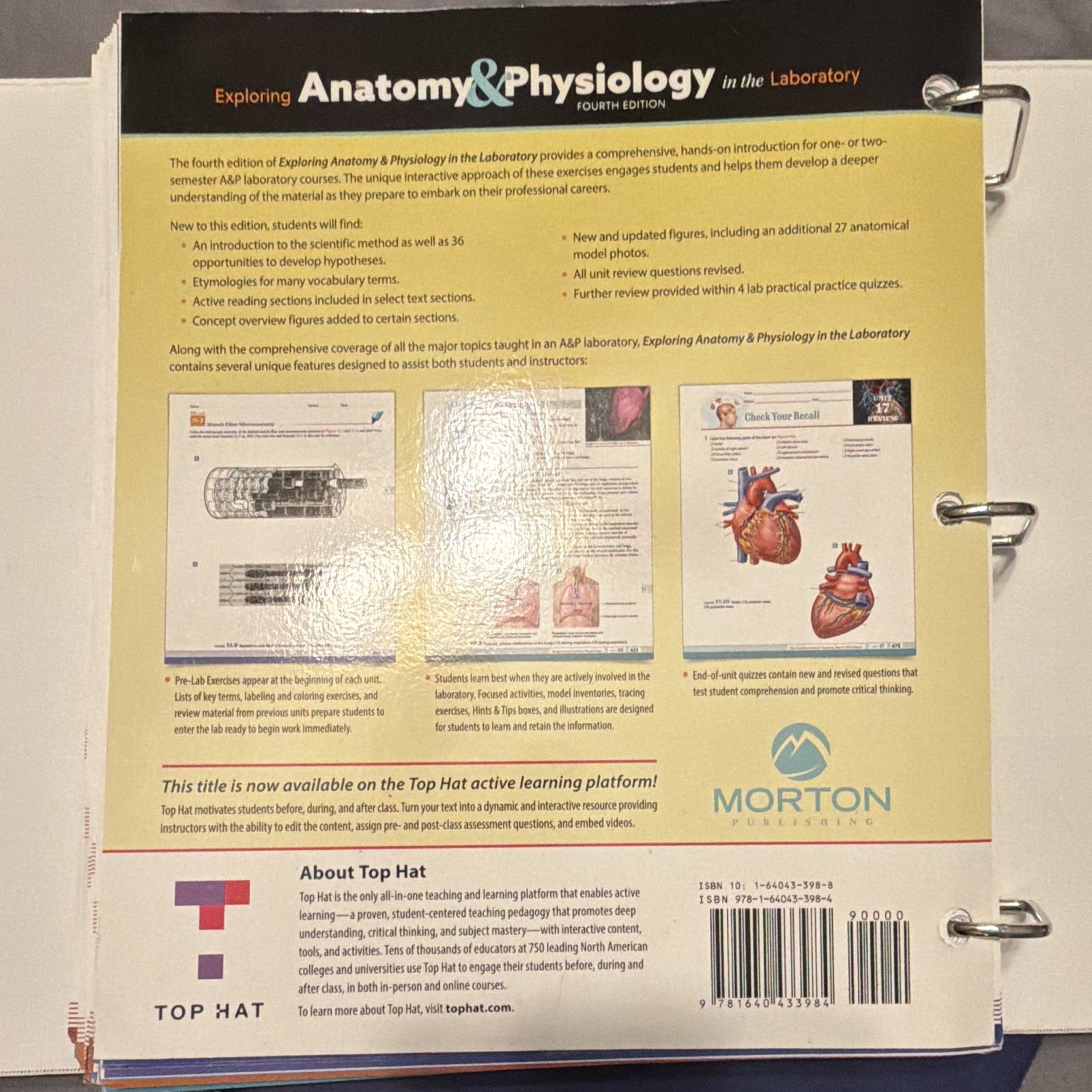 Amerman Exploring Anatomy & Physiology in the Laboratory 4th 2018 Ringbound