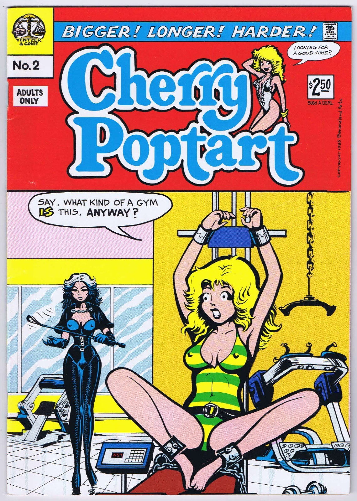 Underground Comix Mixed Lot All Printings 1960’s/1970’s Last Gasp Rip Off Apex