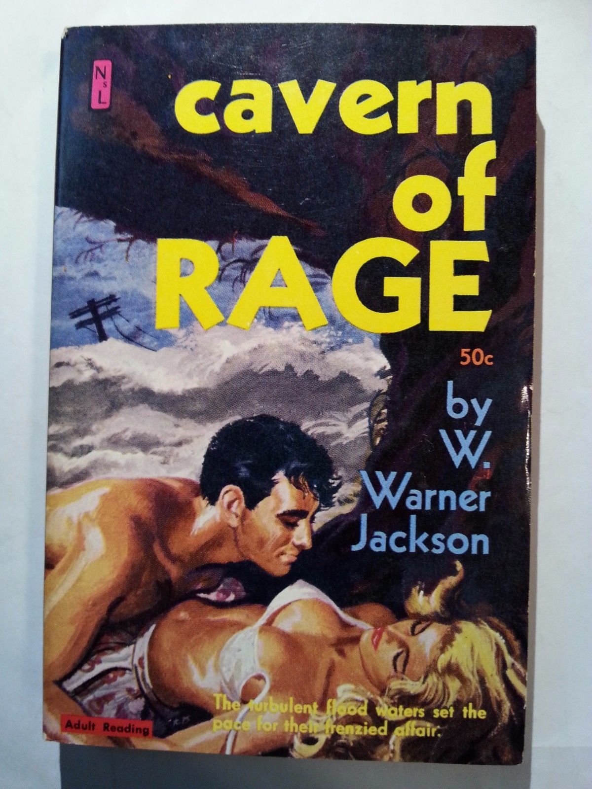Cavern of Rage: Warner Jackson. Newsstand. Sleaze/GGA/Fiction/Adult/Pulp 1961