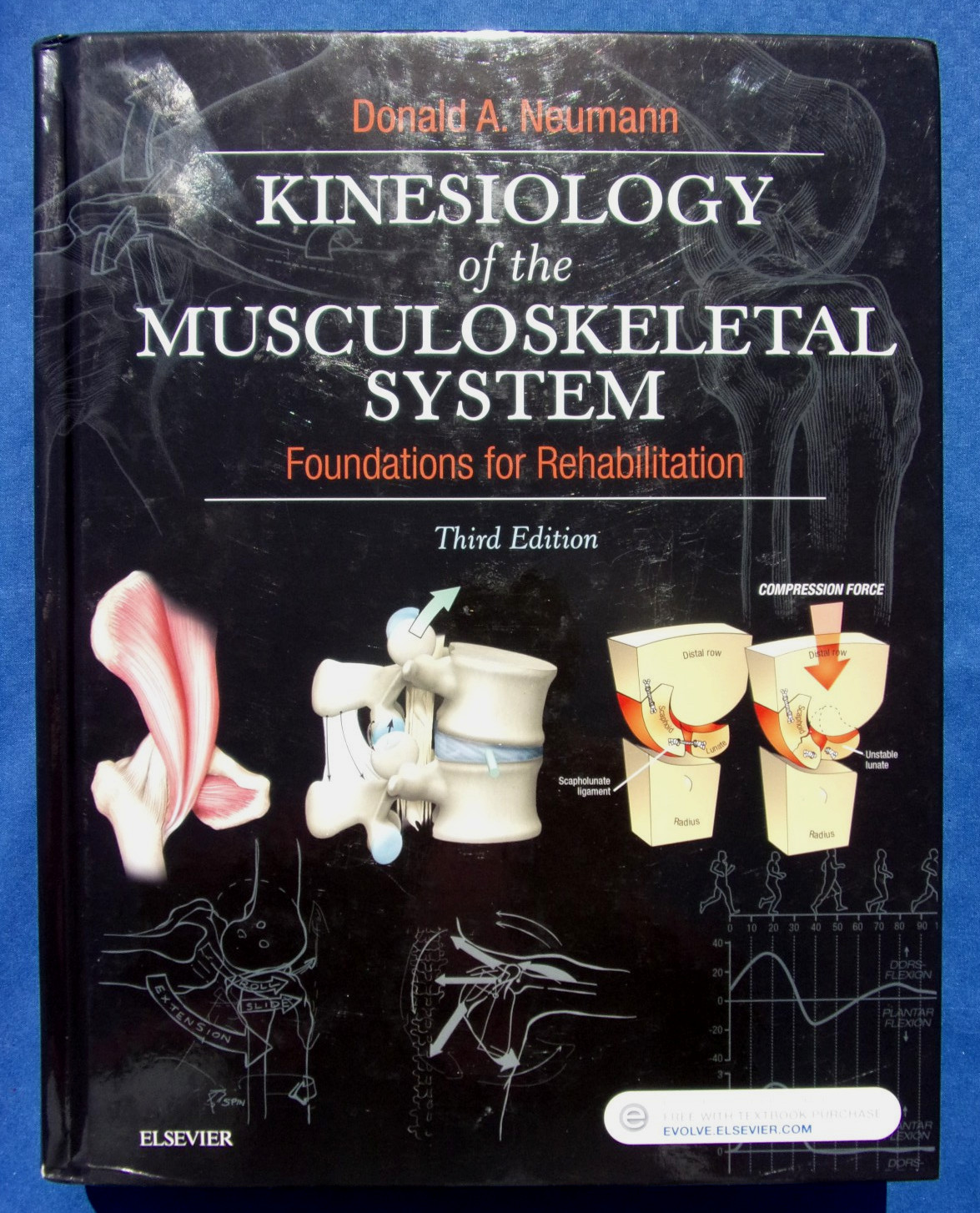 💀 Kinesiology of the Musculoskeletal System : Foundations for Rehabilitation 3e