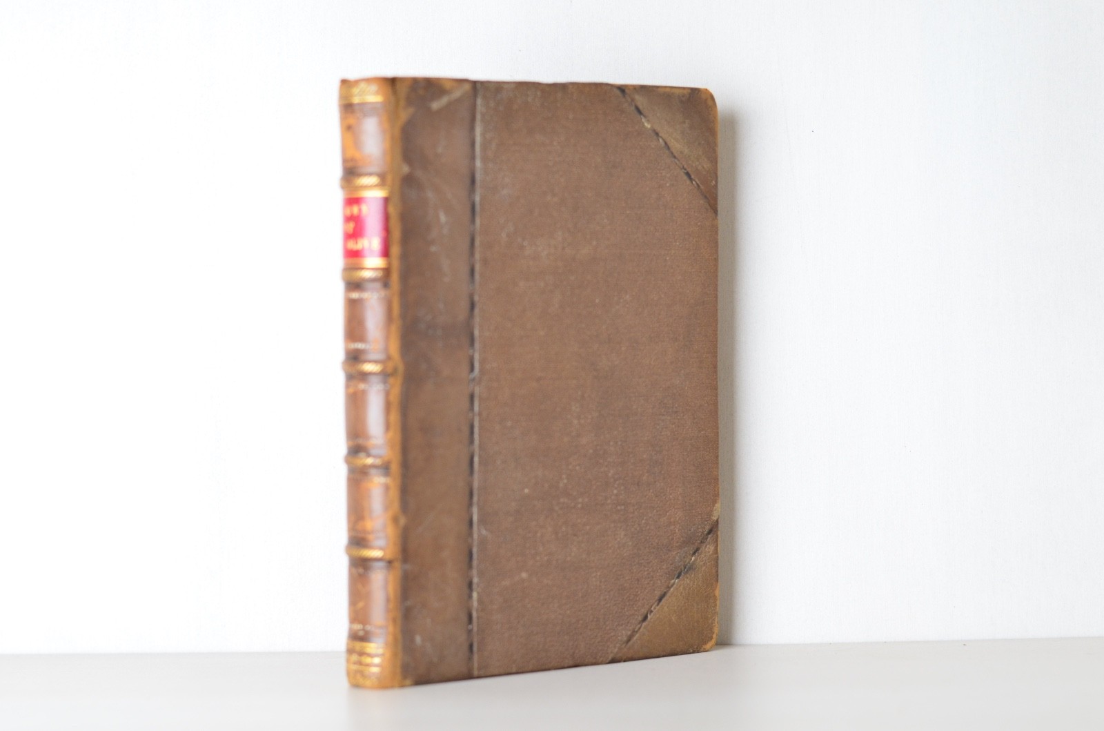 Antique Early Printing The Crown of Wild Olive by John Ruskin 1866