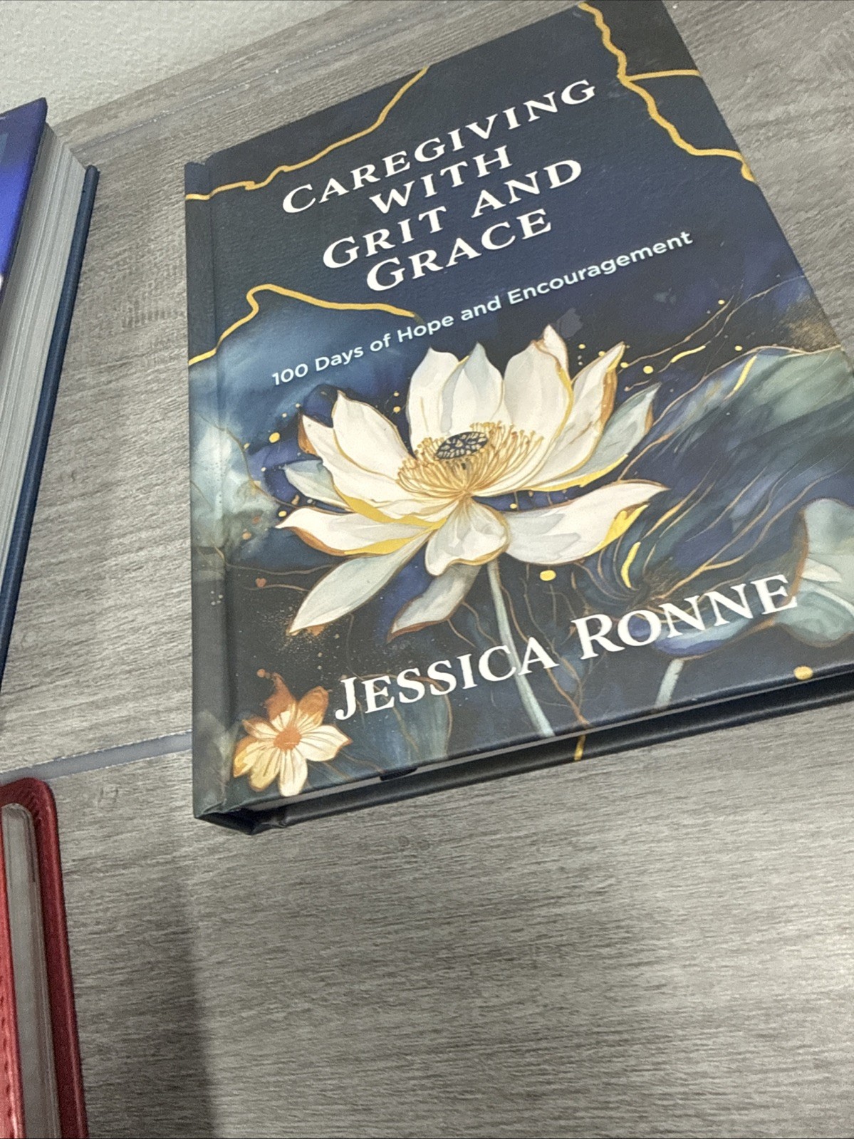 David Jeremiah LOT Strength for Today IN The WORDS + Caregiving Book