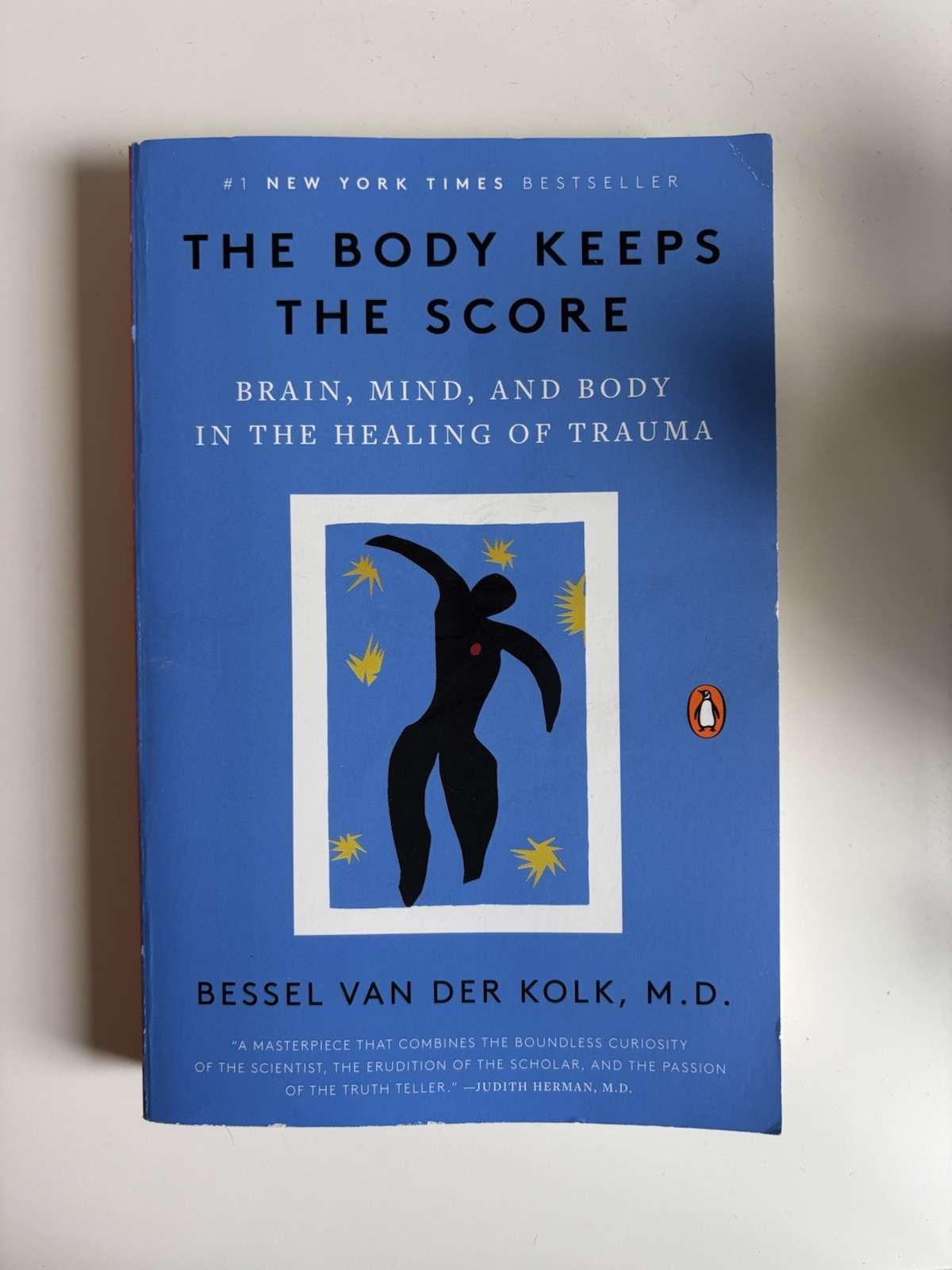 Bessel van der Kolk Body Keeps the Score Trade Paperback Penguin 2015