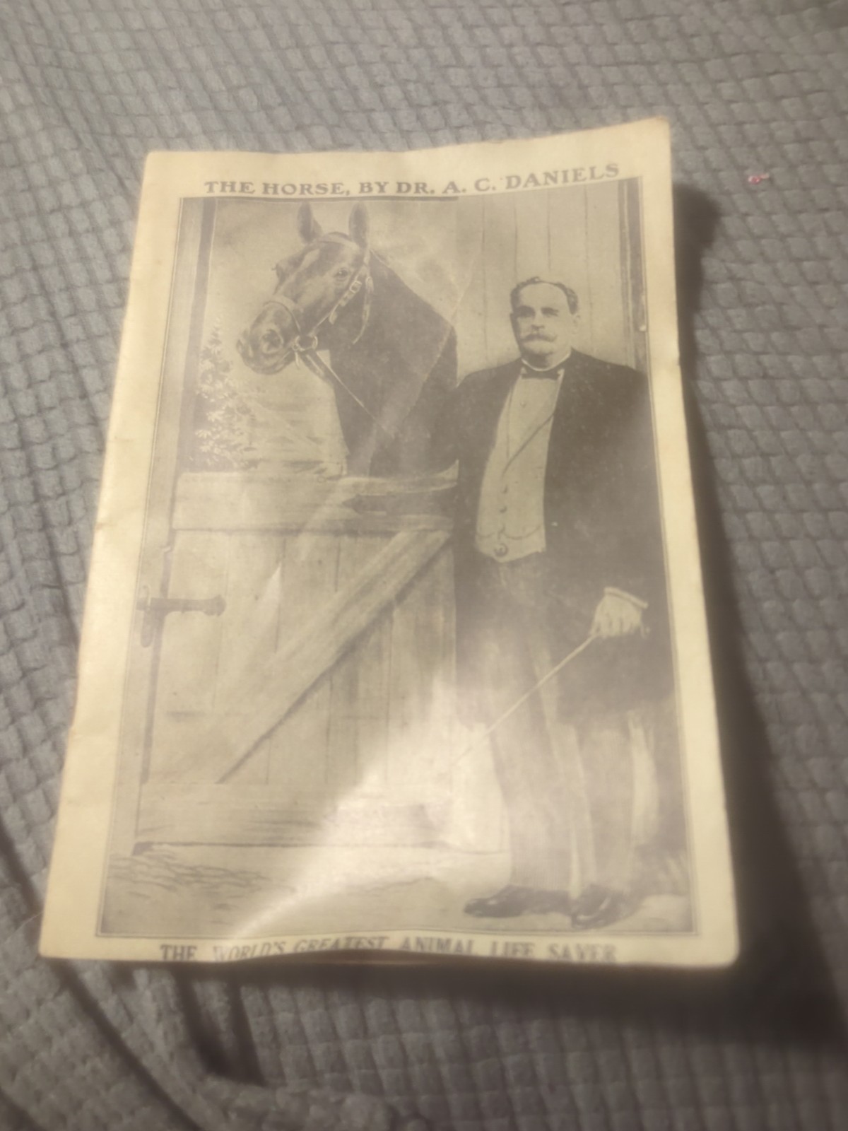 The Horse By DR A.C. Daniel’s Veterinary Medicines And How To Use. 1911 40 Pages
