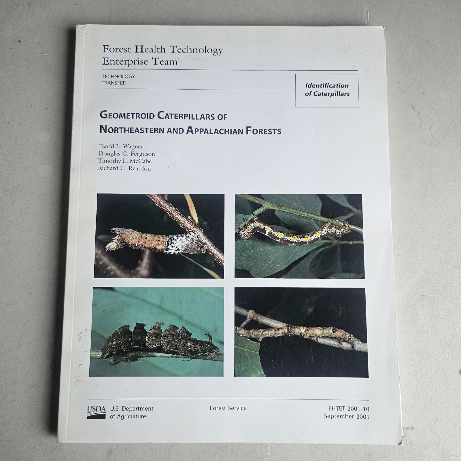 USDA Forest Servic PB Book Geometroid Caterpillars Of Northeastern & Appalachian