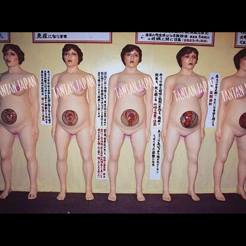 Shinichiro Kobayashi – HITOGATA 692 Dolls Collection 2000 Photo Book Rare
