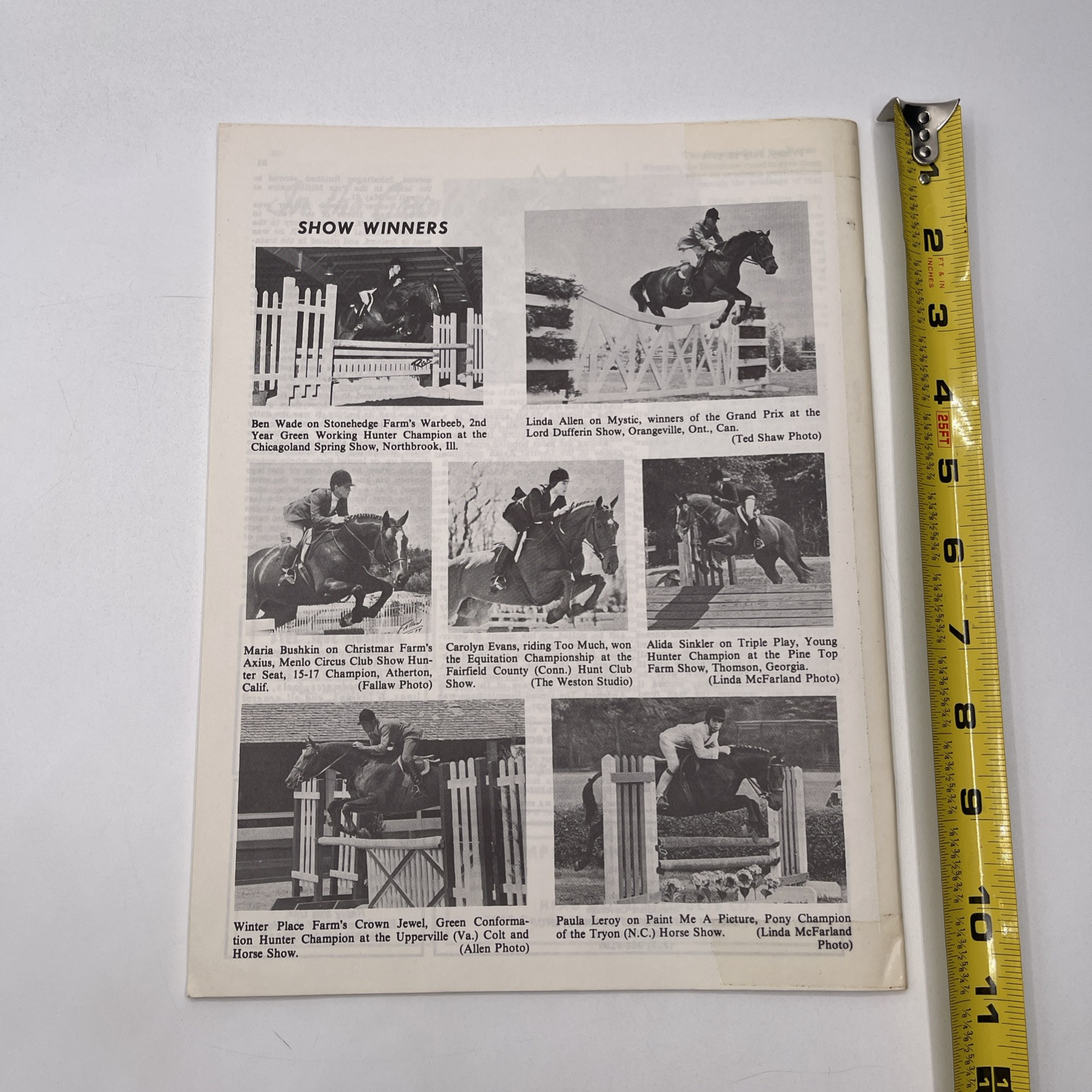 The Chronicle Of The Horse July 12, 1974 – Hunter And Bull Terrier