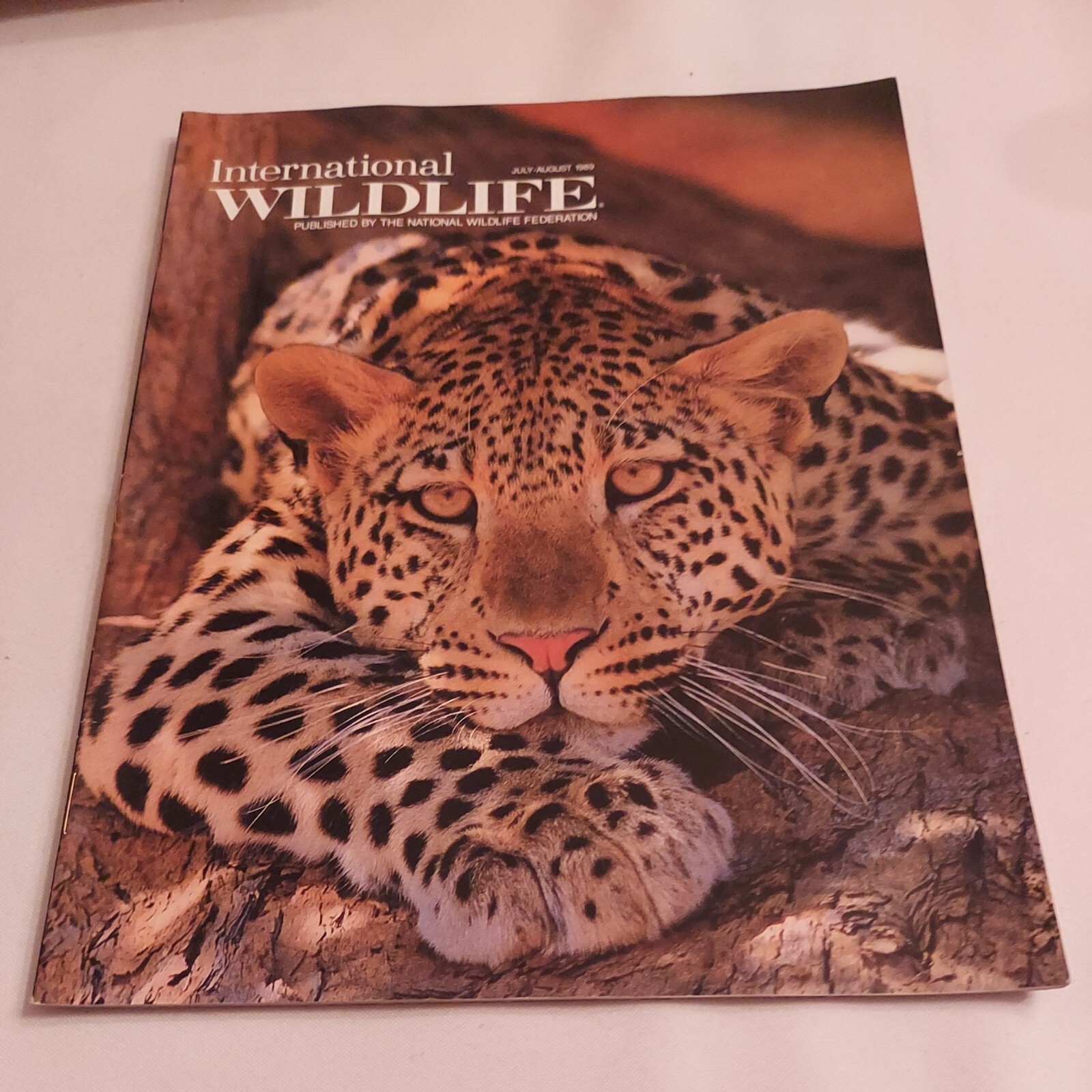 1989 July/August,International Wildlife Magazine, Foster Mother To Seals (CP197)