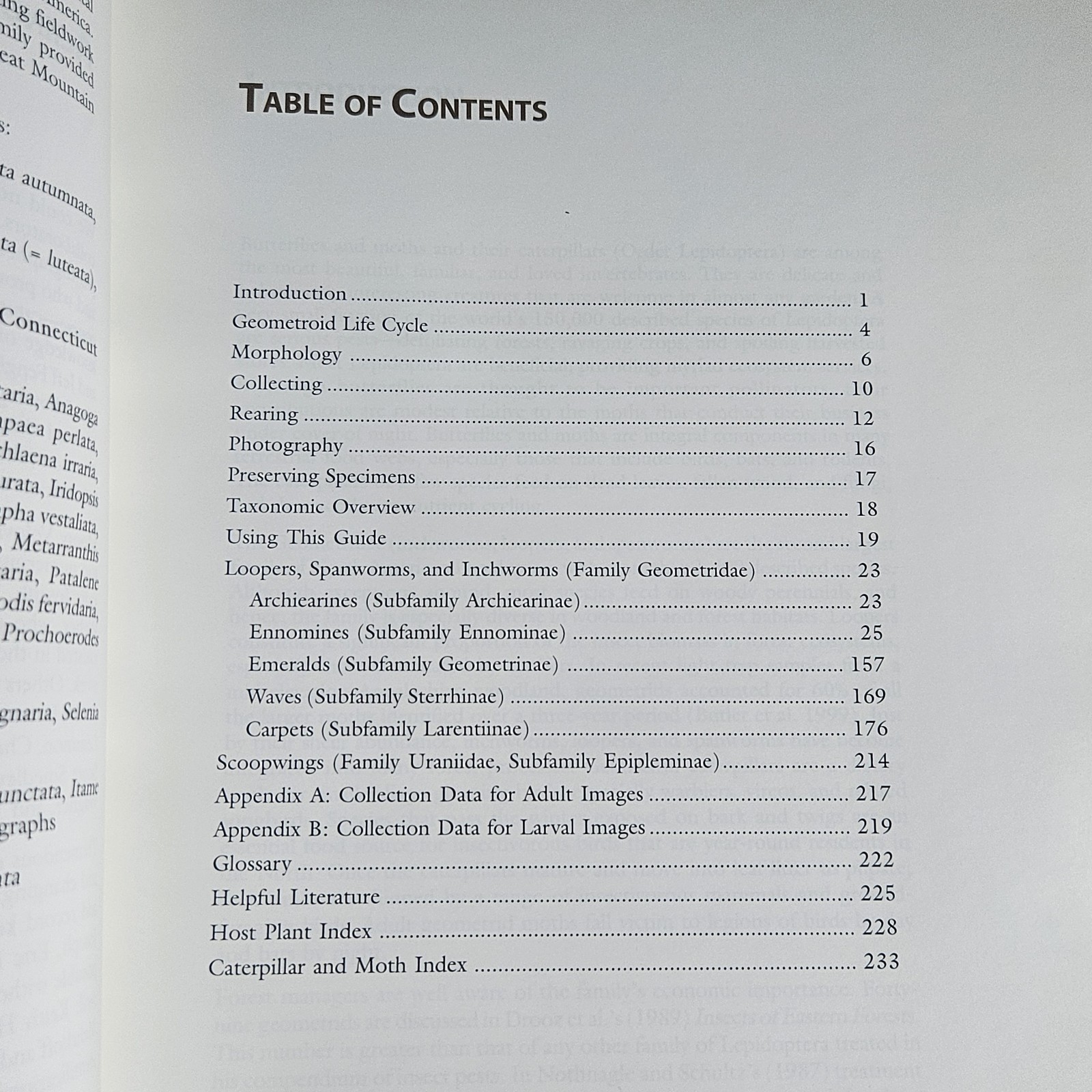 USDA Forest Servic PB Book Geometroid Caterpillars Of Northeastern & Appalachian