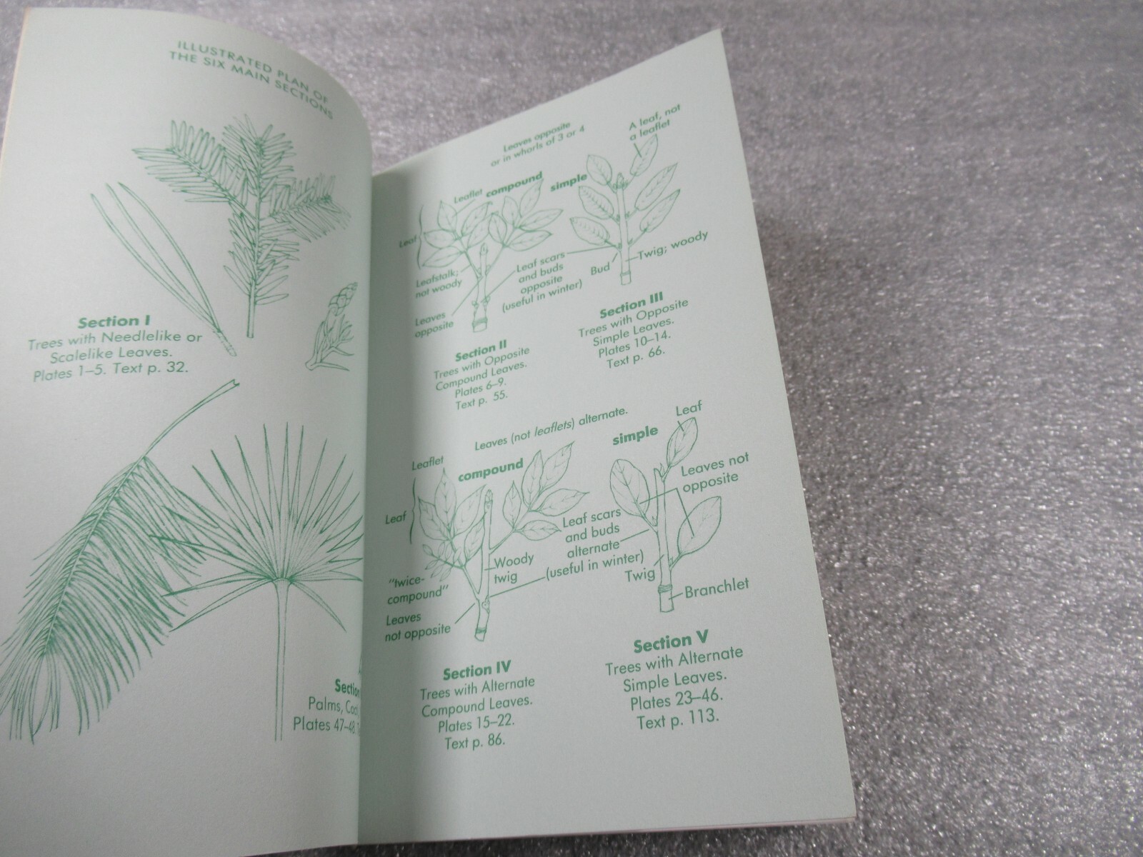 Peterson Field Guide EASTERN TREES – George A Petrides 1988 PB – VG Cond