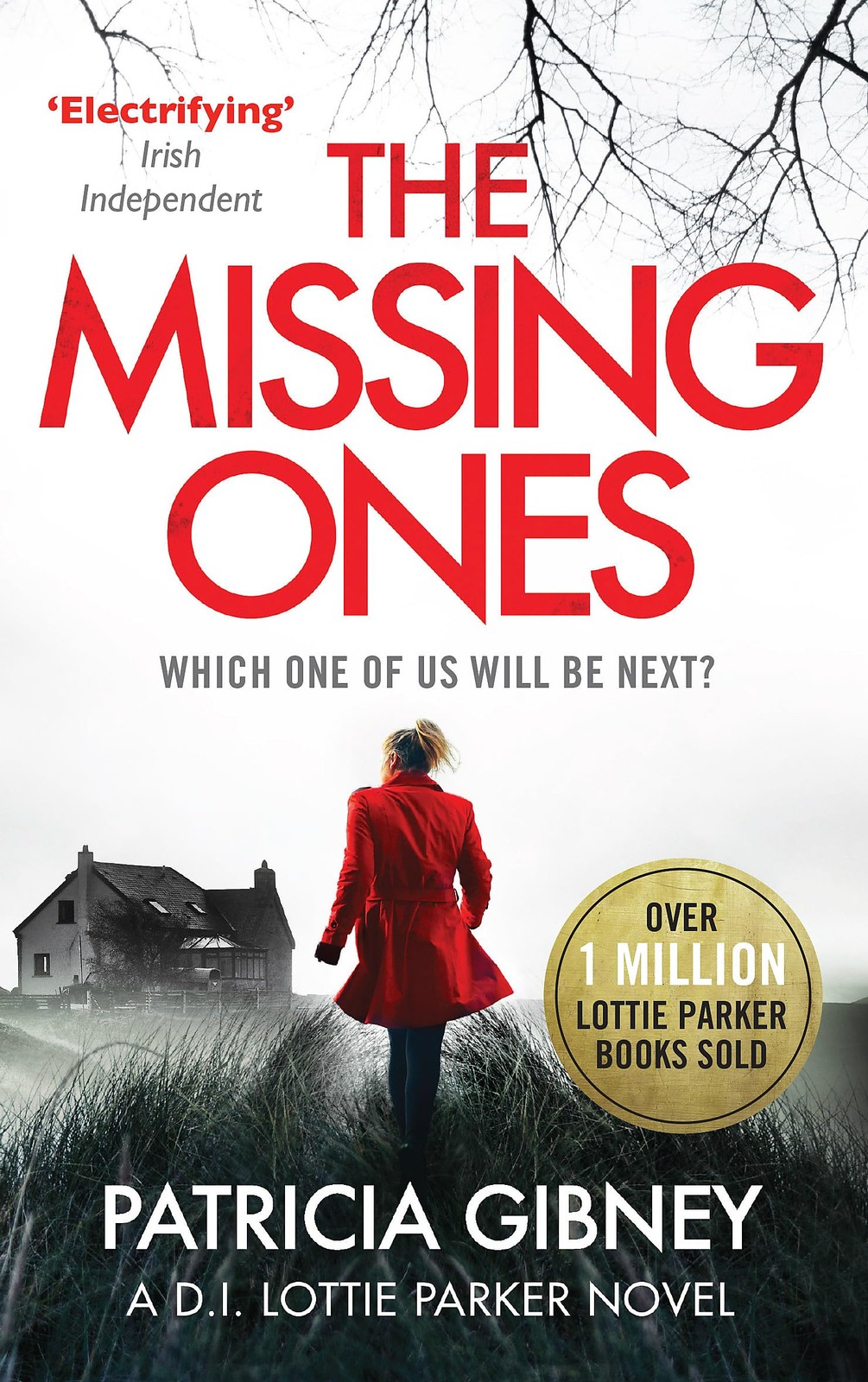 Missing Ones – Patricia Gibney – Good – See condition notes