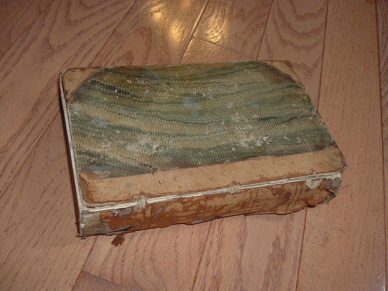 1846 The Illustrated Botany by John B. Newman, Published New York, J.K. Wellman