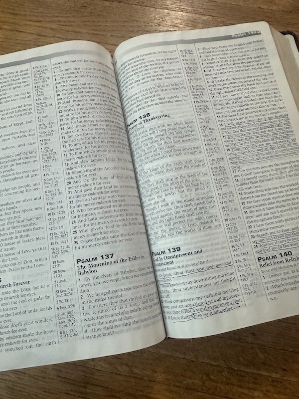 PROPHECY STUDY BIBLE Burgundy Leather KJV Red Letter TIM LAHAYE/DAVID WOOD 2000
