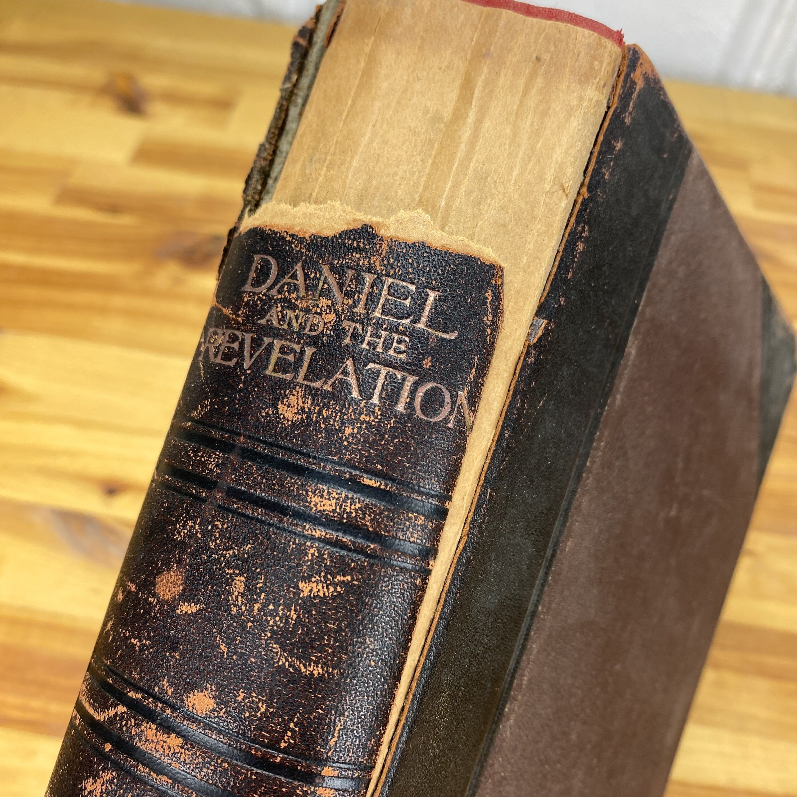 DANIEL AND THE REVELATION Uriah Smith, 1907 Antique Hardcover Book, Prophecy