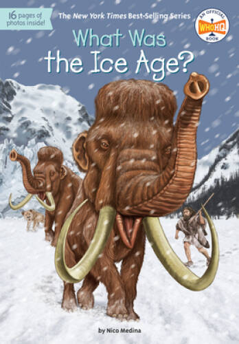 What Was the Ice Age? – Paperback By Medina, Nico – VERY GOOD