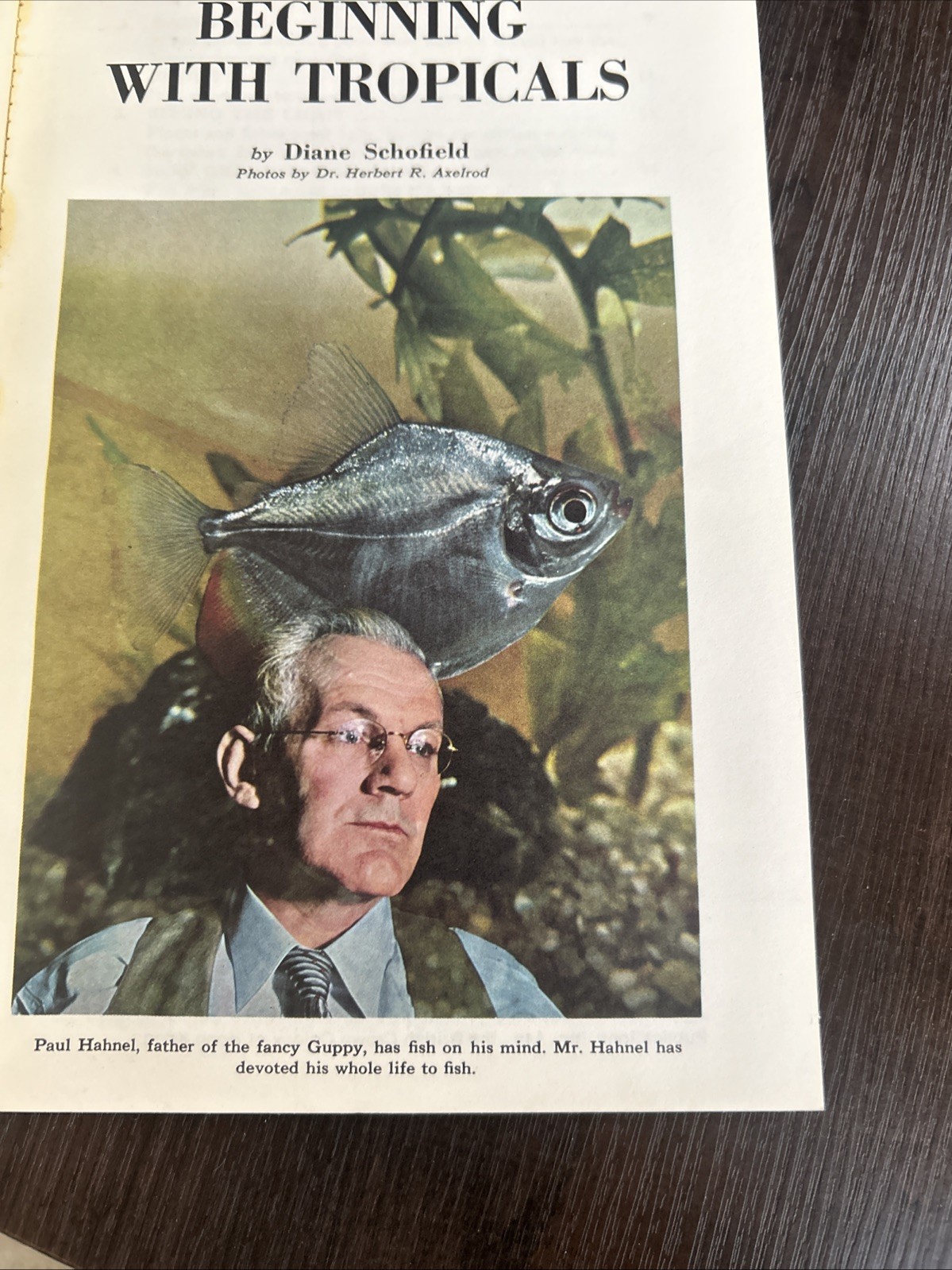 Extremely Rare 1966 Beginning With Tropicals Book- VG
