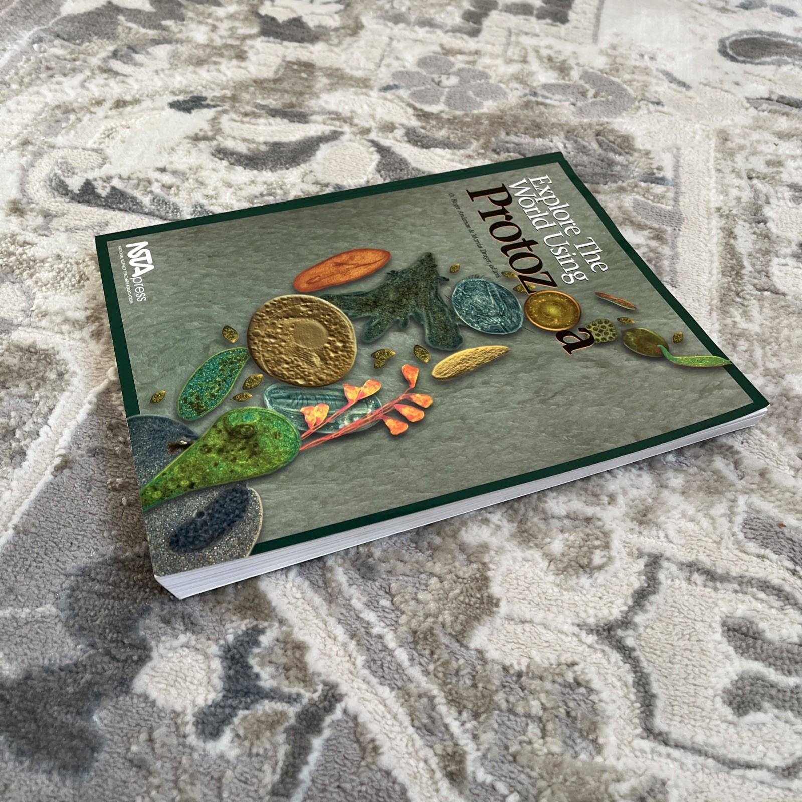 Explore the World Using Protozoa Paperback