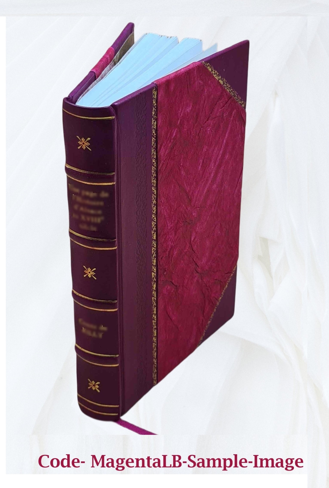 Naturalistic Photography For Students Of The Art 1889 [Leather Bound]