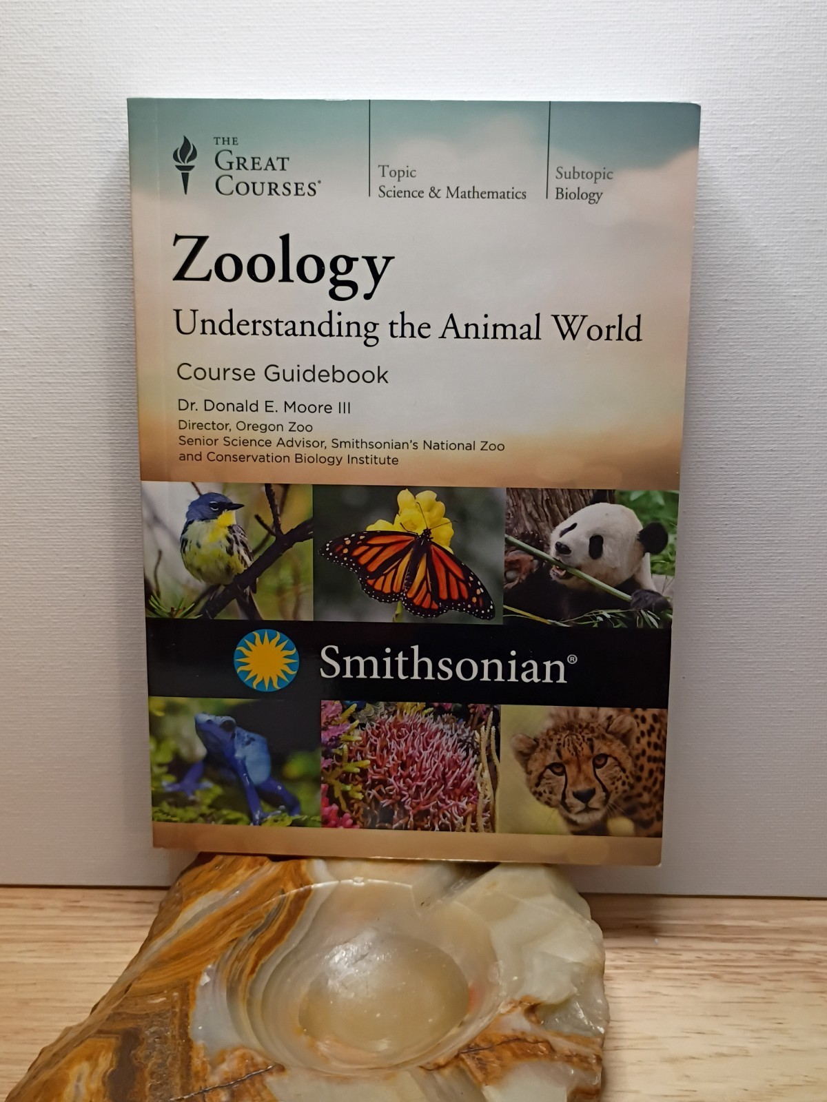 The Great Courses: Zoology Understanding the Animal World – 4 DVDs + GB + BONUS