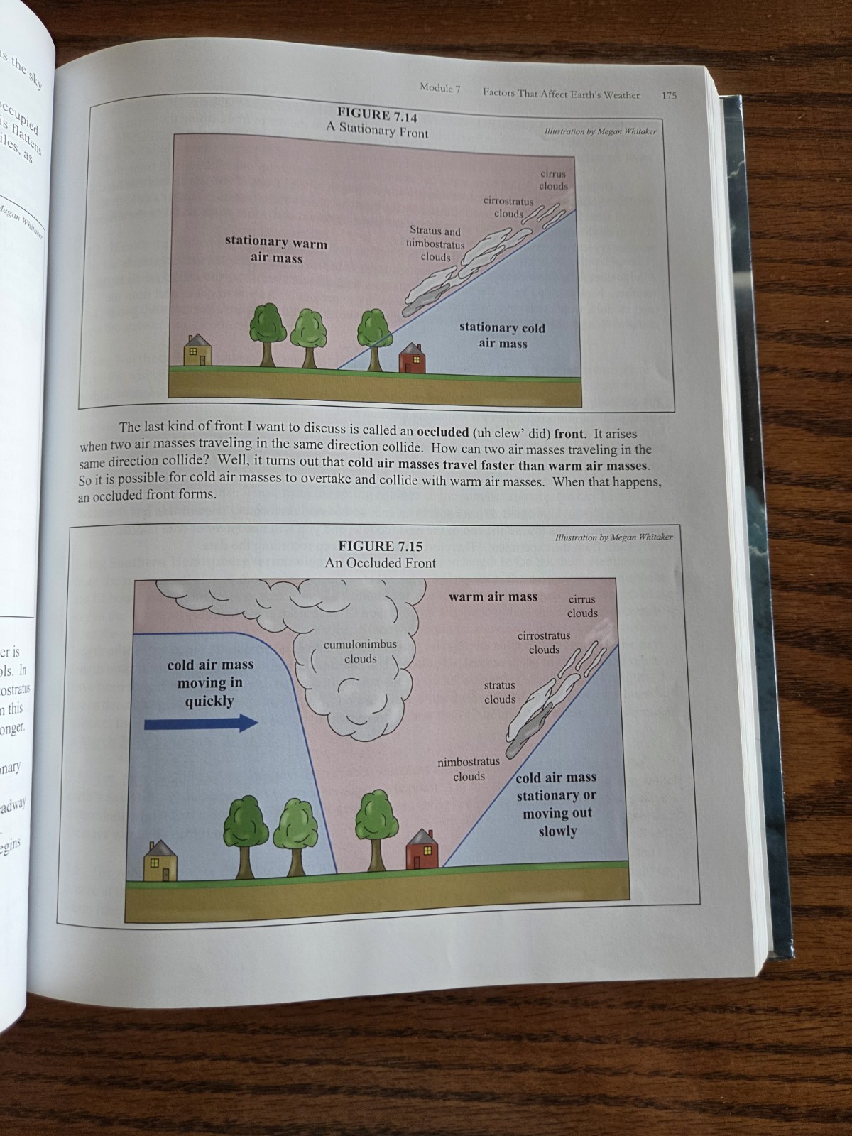 Apologia Exploring Creation with Physical Science Homeschool Set 2nd Edition