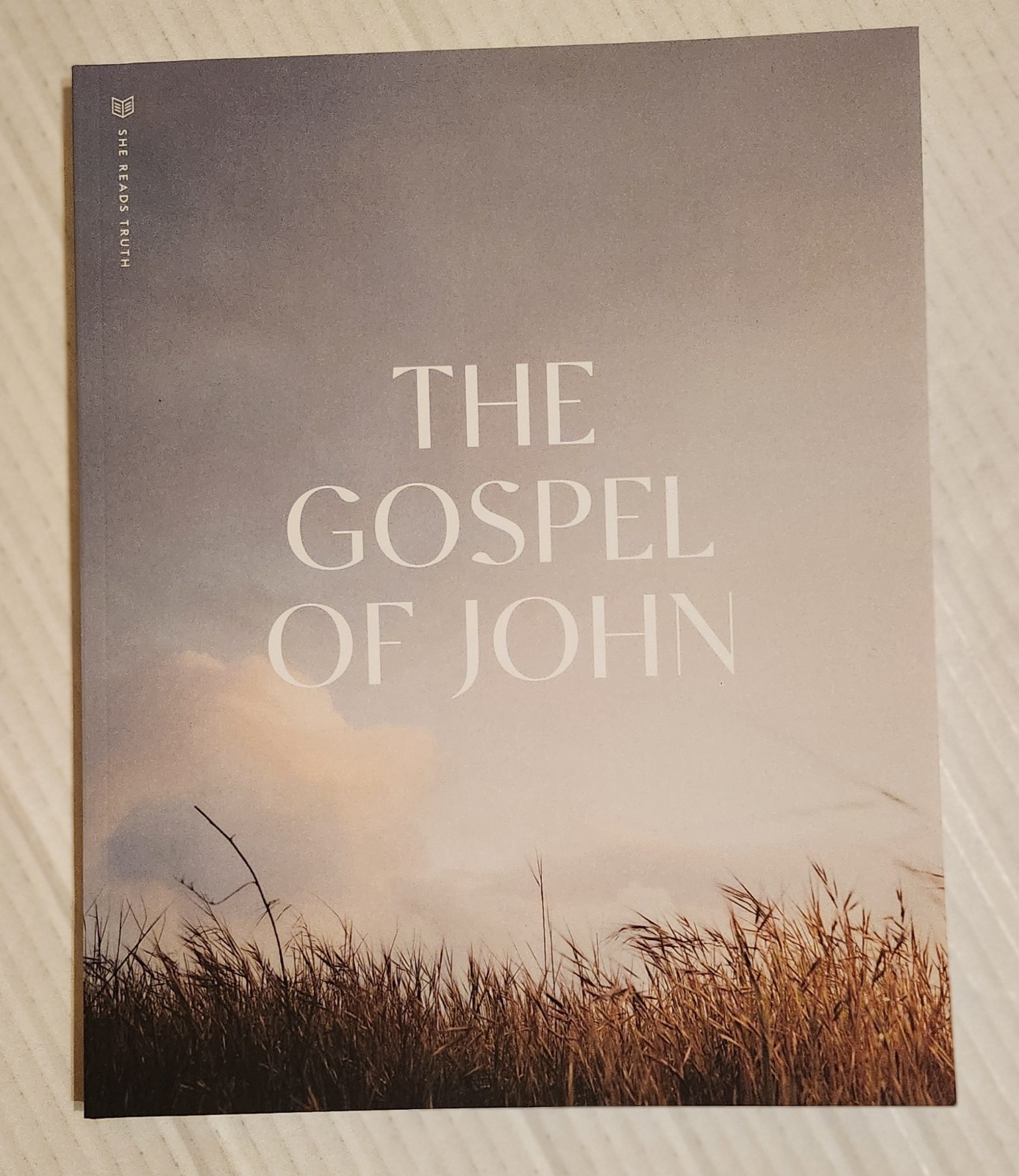 She Reads Truth THE GOSPEL OF JOHN Workbook Christian Study Guide Bible Jesus