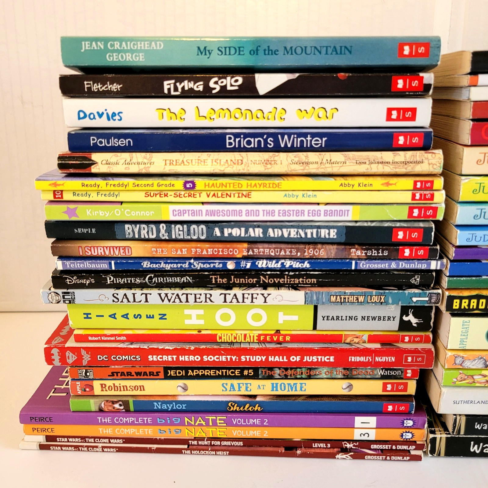 Boys Chapter Books Lot 3rd/4th/5th/6th Grade 42 PB Scholastic Homeschool