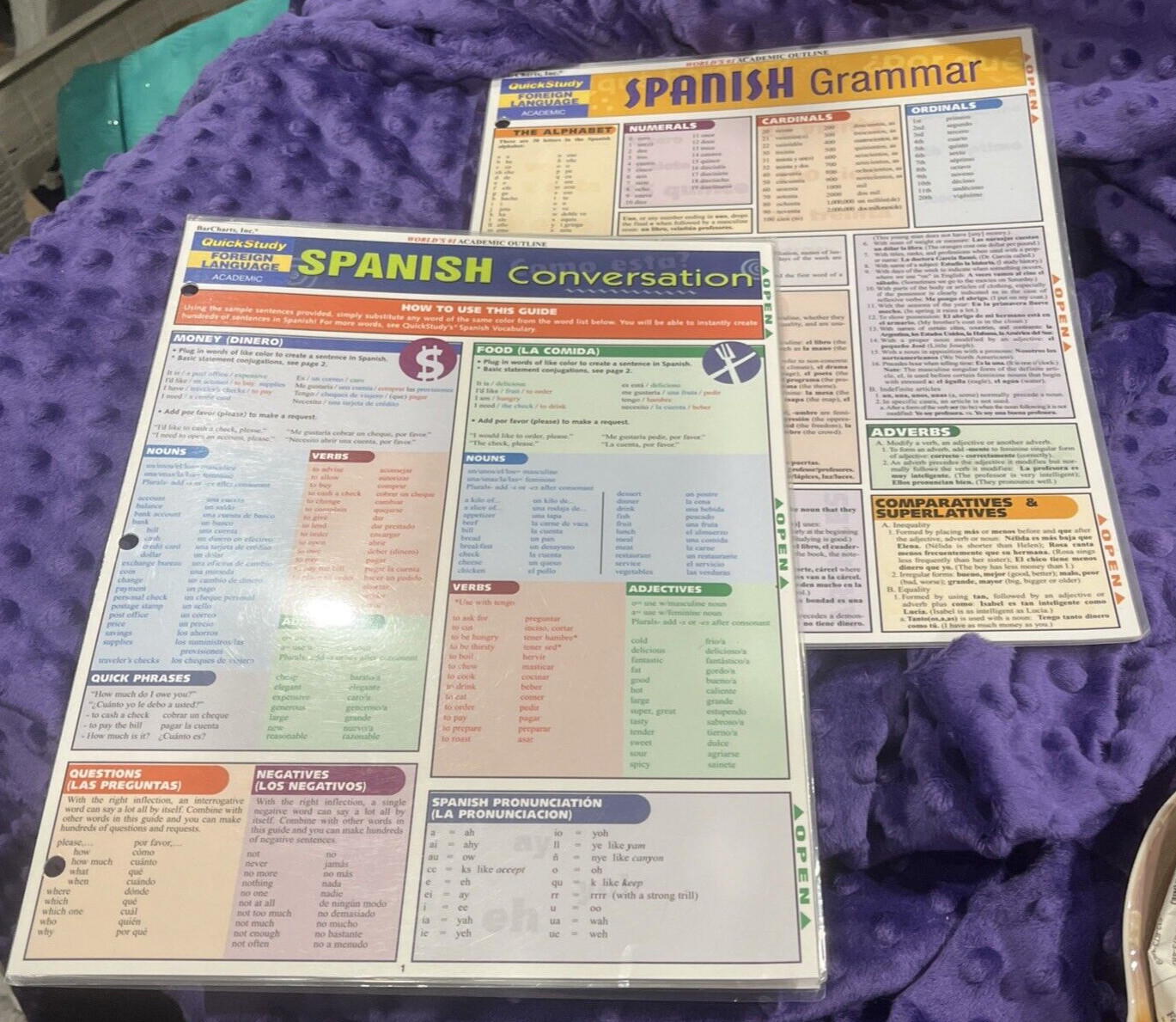 2 Spanish Conversation & Grammar Quick Study Academic Laminated by Liliane Arnet