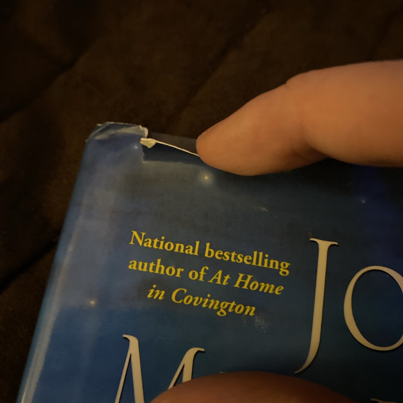 A Covington Christmas Novel Written By Joan Medlicott Hardcover 237 Pages