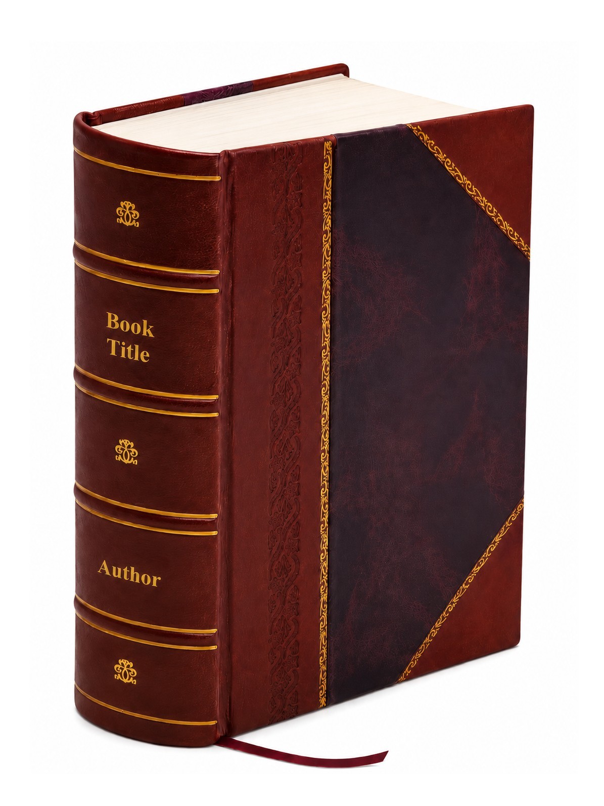 Pennsylvania archives second series V.17 1879 [Leather Bound]